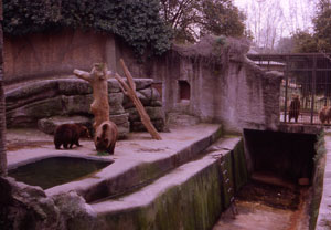 foto della  roccia degli orsi bruni, realizzata da Hagenbeck nel 1910 